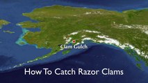 How to Dig Razor Clams With a Clam Gun