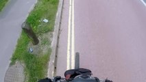 This Biker has a bad karma! Violent fall after insulting driver