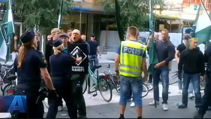 Nazistattacken i Kärrtorp - SVT Aktuellt, Helene Lööw om SMR