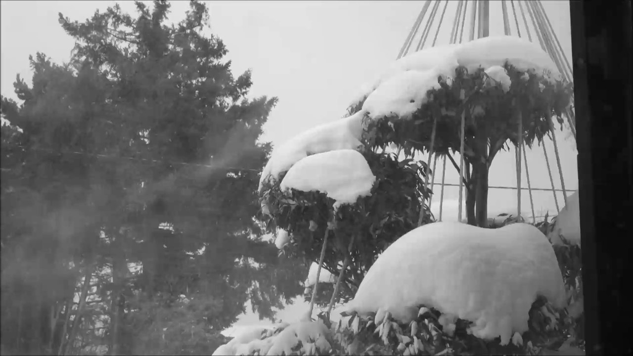 yukitsuri dans la tempete