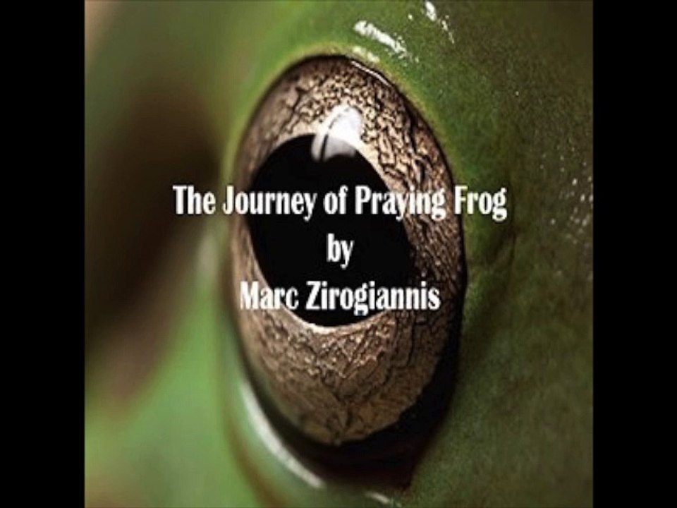 ACX Audiobook Narrator Sean Stewart Journey of Praying Frog