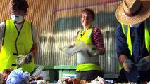 'waste busters - fremantle waste audit'