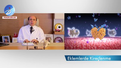 Prof. Dr. Turgut GÖKSOY Eklemlerde Kireçlenme
