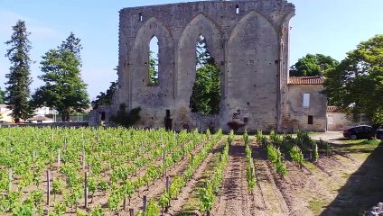 Saint Emilion mai 2015