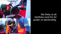 På lag med norsk fiskeindustri