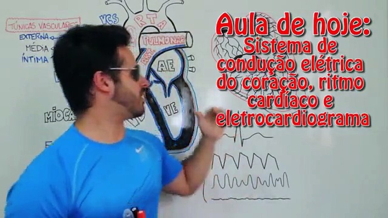 Vídeo Aula 047 - Sistema Cardiovascular - Eletrocardiograma, sistema de condução e ritmo cardíaco