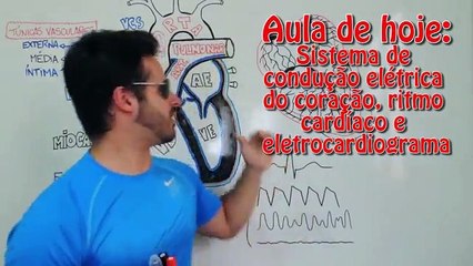 Vídeo Aula 047 - Sistema Cardiovascular - Eletrocardiograma, sistema de condução e ritmo cardíaco