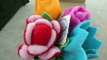 OUR FIRST BARKBOX - APRIL 2015 - UNBOXING AND DOG TESTING