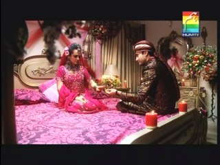 Raju Rocket OST Hum TV Full Song Tere Bin Jiya - Amanat Ali, Zobia, Saji