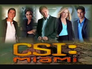 Les experts Miami - groupe