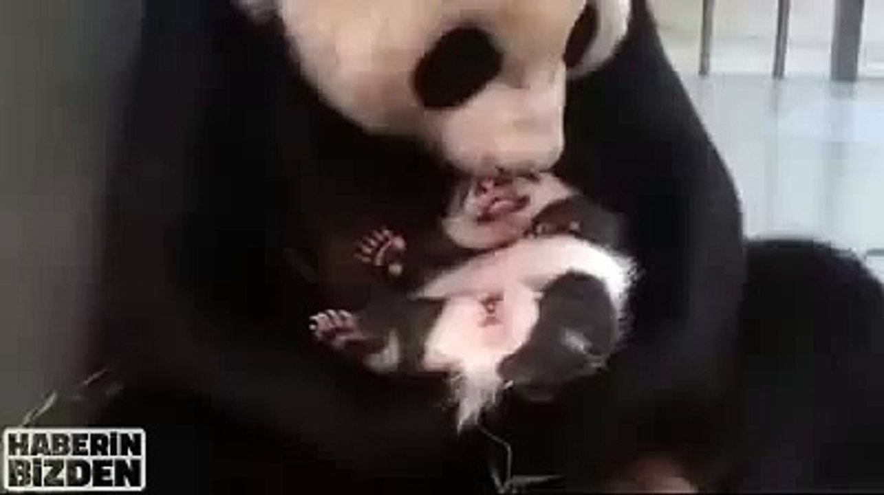No matter how loving mother