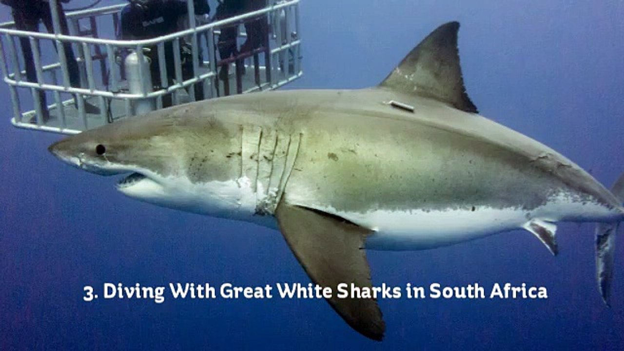 10 INCREDIBLE THRILL SEEKING ADVENTURES TO DO AROUND THE WORLD