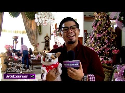 Kemeriahan Perayaan Natal Keluarga Bams - Intens 25 Desember 2014