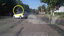 Un élan saute par-dessus une voiture qui allait lui rentrer dedans
