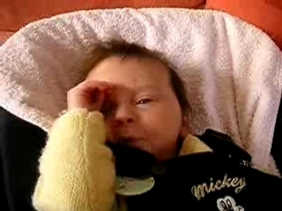 Antonin 2