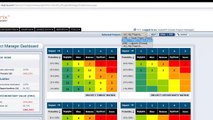 Vue-Matrix Project Risk Management Software - The Portfolio Manager / Project Manager dashboard