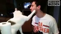 This cat does not want to Kiss