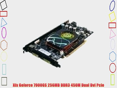 Xfx Geforce 7900GS 256MB DDR3 450M Dual Dvi Pcie