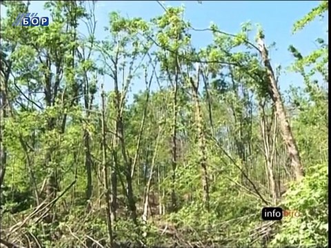 Oko istoka, 09. jun 2015. (RTV Bor)