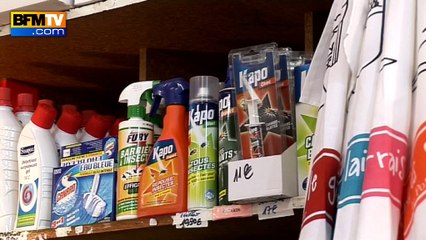 Dangers de l’insecticide sur les enfants: "Il faut tirer la sonnette d'alarme"