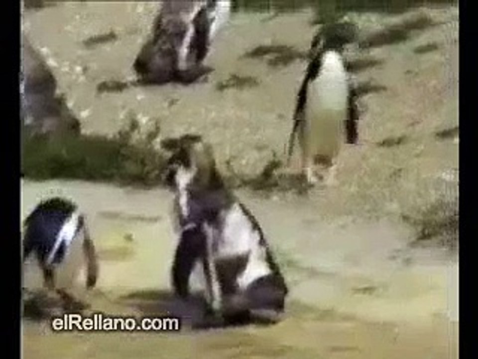 most funny but reality watch it