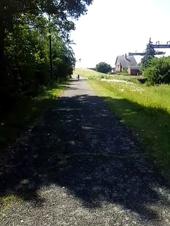 Ma femelle américain staff 10 moi nage