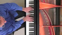 'Clair de Lune' Gabriel Fauré - P. Barton FEURICH grand piano