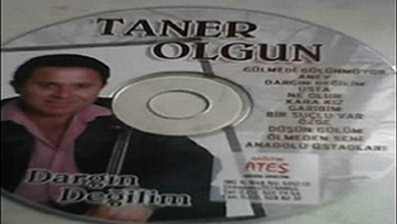 Taner OLgun - Bir Garibim