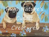 Pugs Nature's Cutest Creatures (updated)