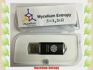 Mycelium Entropy