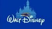 Walt Disney Television Animation Cartoon Network Disney Channel Original (2015)