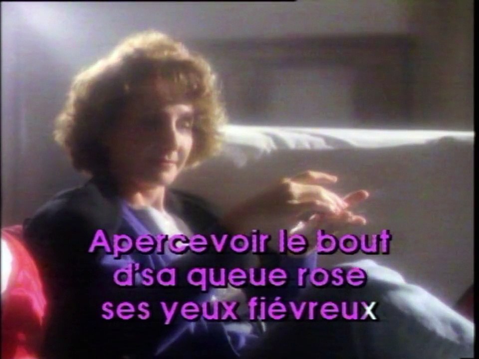 Fuir le bonheur de peur quil ne se sauve - Jane Birkin - Karaoke