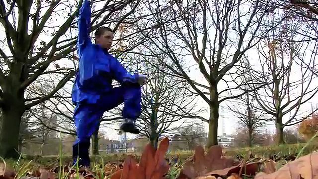 Tang Long Shaolin Kung fu & Tai Chi