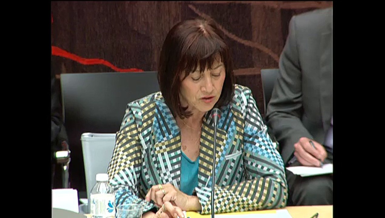 Mon Intervention en Commission des Affaires Européennes lors de l'Audition d'Axelle LEMAIRE