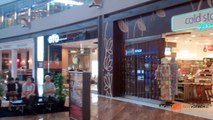 Marina Bay Sands shopping mall: The Shoppes