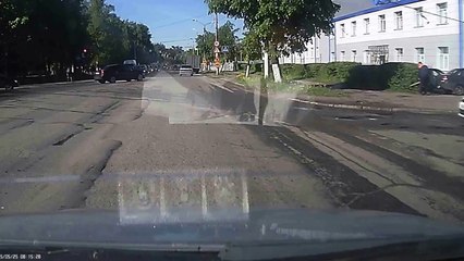 Un élan saute par-dessus une voiture