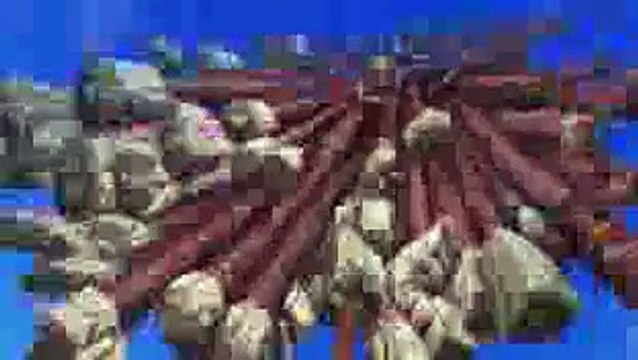 검빛＼【ＢＷＰ７９。ＣＯＭ】＼＼강원랜드바카라