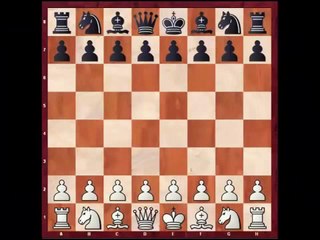 Chess opening disasters by Alex Kundin