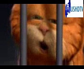 masti mahool funny dubbing clip