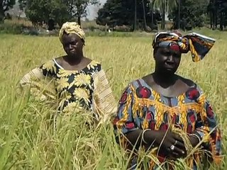 Témoignage de la Présidente du groupement des femmes de Djilor Djidiack sur le projet APRAO