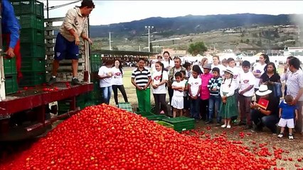 La tomatina se desata en Colombia