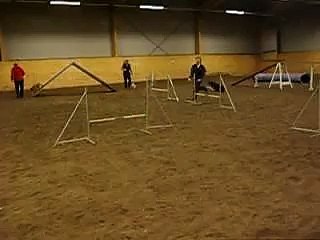 Agility