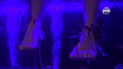 MCE a testé … La Fish Pédicure