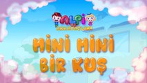Mini Mini Bir Kuş Donmuştu (Konmuştu) Şarkısı - Bebek ve Çocuk Şarkıları 2015 [720p]