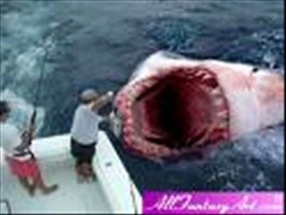 megalodon shark still alive?