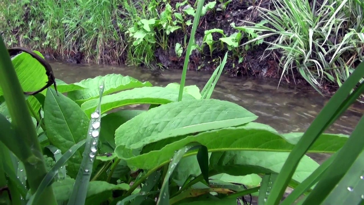 [PARTENARIAT] Road Trip dans le Valais - jour 4 : Nendaz