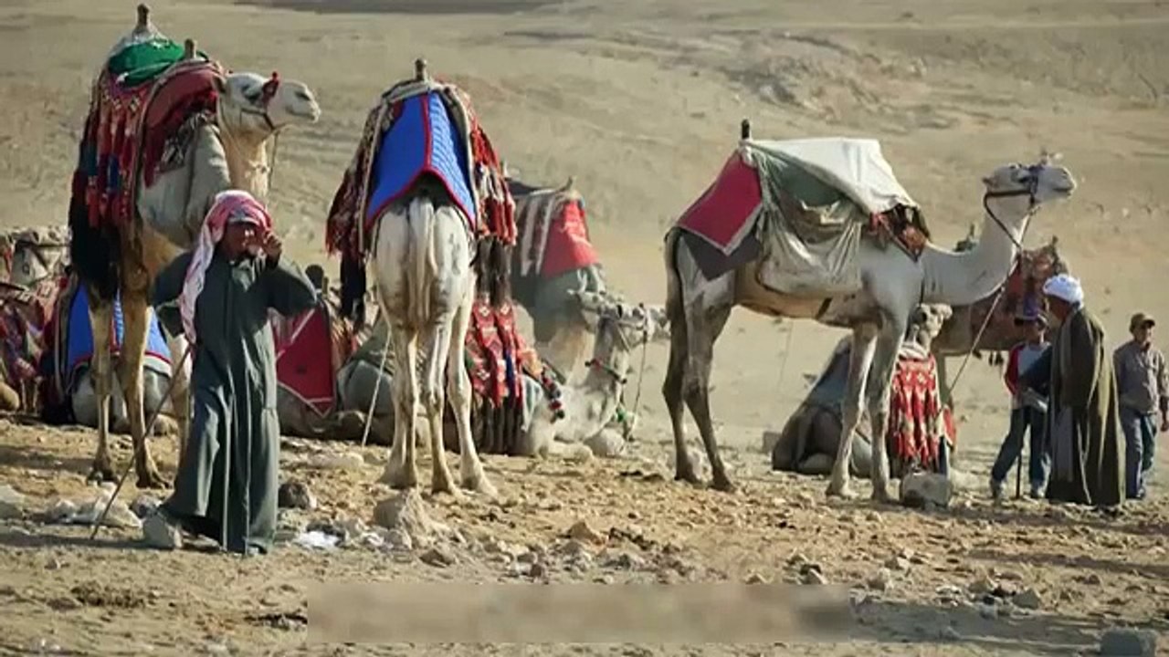 How to lose weight fast and easy weight loss tips fat loss program