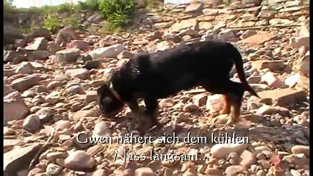 Gwen und Dana von den Nibelungen