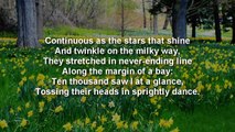 Famous Poem ~ Daffodils by William Wordsworth with text