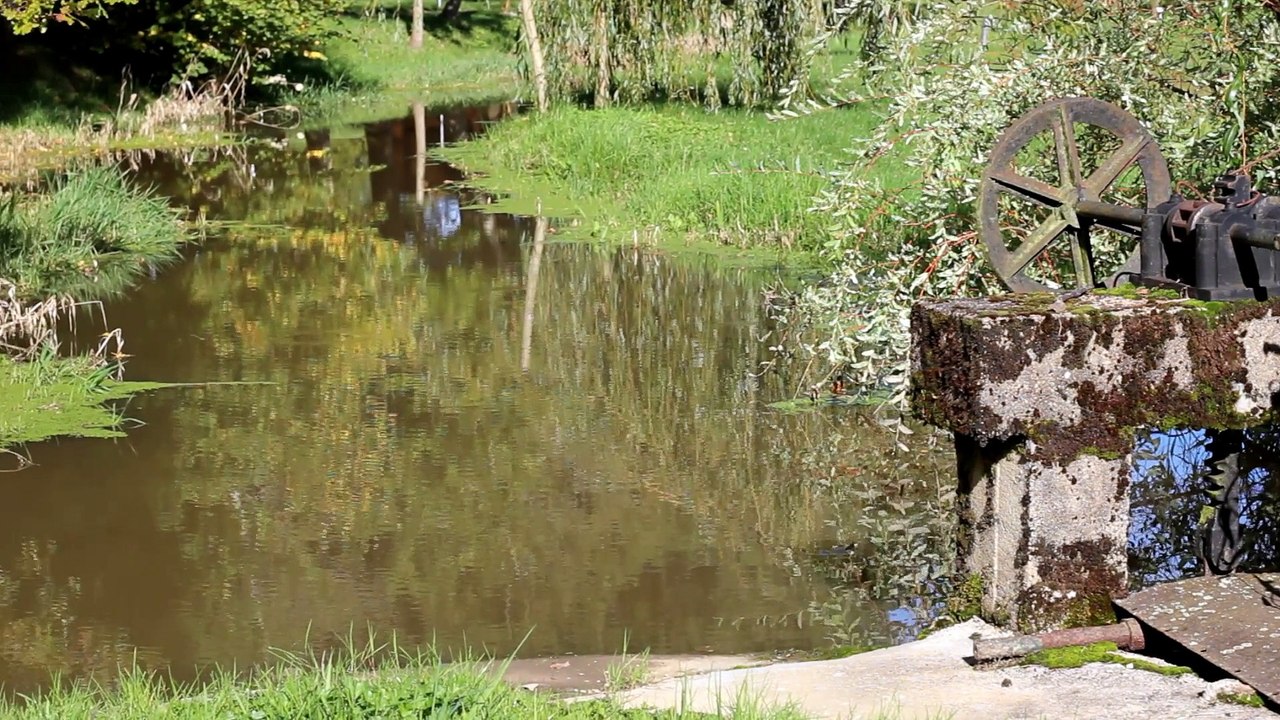 Les cabanes de la petite sapinière / Film "Les 4 saisons"